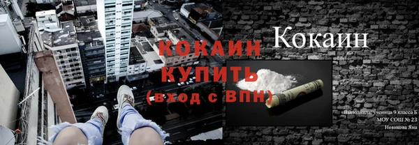 сатива Заволжье