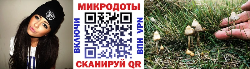 даркнет клад  Красноперекопск  Псилоцибиновые грибы Psilocybe 